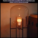 Philips Hue Bombilla LED Inteligente A67, White Ambiance, Luz Blanca cálida a fría, E27, 11,8 W, Regulable 1000-20.000K, 1600 lm, funciona con Alexa, Google Assistant y Apple Home, Pack de 1 - 6