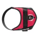 Arnés IDC Power, Tamaño: M/0, Viva Magenta - 6