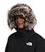 The North Face Women's Arctic Parka (Pack of 1) - 4