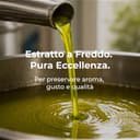 Olio extravergine d'oliva pugliese 100% italiano 5 litri Scarpello - 4