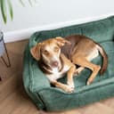 4L Textil IRIS Orthopädisches Hundebett Premium-LINE Hundekorb orthopädisch Kuscheliges Hundebett mit Bezug Memory Foam (80x60 cm, Dunkelgrau) - 9