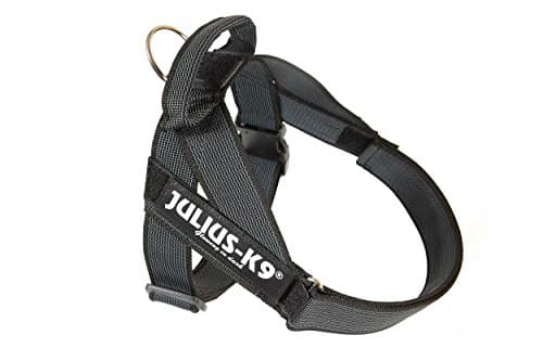Julius-K9, IDC Color & Gray Belt Harness, taglia: M / 0, nero-grigio