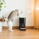 Cecotec Comedero Dispensador Automático para Mascotas con Control WiFi, Cámara, Grabadora de Voz Pumba 6000 Purrfect Meal Smart Vision. 6L, Control de Porciones, Alarma, Cuenco de Acero INOX - 8