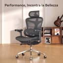 SIHOO Doro C300 Sedia Ufficio Ergonomica con Braccioli Ultra Morbidi in 3D, Supporto Lombare Dinamico per Sedia scrivania a Casa, Sedia da Scrivania con Schienale Regolabile,2 confezioni(Nero) - 4