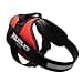 Julius-K9, Pettorina IDC Power, Taglia: L / 1, Colore: Rosso - 2