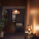 Philips Hue White 2 Lampadine LED Smart, Bluetooh, Controllo Vocale, E27, 9W, Dimmerabili, 800 Lumen, Luce Bianca Calda - 11