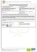 Olio Extravergine di Oliva EVO | 100% Italiano DOP | Renda, Sicilia (Latta da 5 litri) - 7