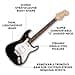 Squier by Fender Debut Collection Stratocaster Electric Guitar, Laurel Fingerboard, White Pickguard, Black - 2