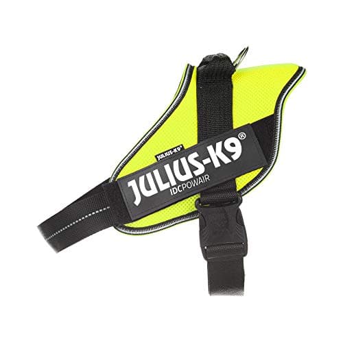 Julius K9 IDC Powair Dog Harness, Size L / 1, Neon