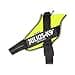 Julius K9 IDC Powair Dog Harness, Size L / 1, Neon - 1