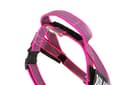 Julius-K9, IDC Color & Gray Belt Harness, Size: S/Mini, Pink-Gray - 4
