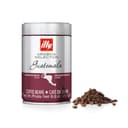 Illy Arabica Selection - Guatemala (250 g, Whole bean) - 1