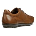 Geox Mens Uomo Symbol B Shoes, Browncotto, 10 UK - 7