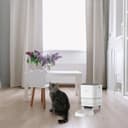 Groov-e Pet-Tech Smart Wi-Fi Pet Feeder – Automatic Cat and Small Dog 4L Dry Food Dispenser, Smart WiFi App Control, Up to 10 Meals Daily, Personalised Meal Call – Battery or Mains Powered – White - 5