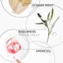 KÉRASTASE Genesis, Routine to Combat Hair Fall Due to Breakage, For Fine Hair, Contains Nourishing and Fortifying Shampoo, Conditioner, Leave-In Treatment & Heat Protectant Fluid, Quad Set - 5