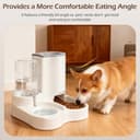 Nobleza Distributore per Gatti 2 in 1 con Fontana - Dispenser gravità Cibo 2.2L e Acqua 1L, Igienico Salvaspazio, Senza Elettricità, Design Moderno (Grigio) - 5