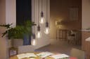 Philips Hue White Ambiance Filament Single Smart LED Globe [E27 Edison Screw] - 550 Lumens. Works with Alexa, Google Assistant and Apple Homekit - 8