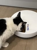 Cat Mate Alimentatore automatico per animali domestici a cinque pasti con inserti in acciaio inox e impacchi di ghiaccio (C500) - 4