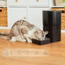 Cecotec Comedero Dispensador Automático para Mascotas con Control WiFi, Cámara, Grabadora de Voz Pumba 6000 Purrfect Meal Smart Vision. 6L, Control de Porciones, Alarma, Cuenco de Acero INOX - 3