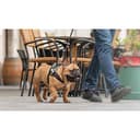 Julius-K9, Pettorina IDC Power, Taglia: M / 0, Colore: Camouflage - 3