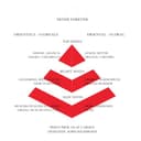 John Richmond Never Forever Eau de Parfum Mujer 50 ml - Perfume para mujer oriental y floral - con notas de caramelo, jazmín y almizcle - 3