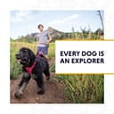 RUFFWEAR Front Range Dog Lead, No Pull 1.5m Dog Leash with Padded Handle, Lightweight Adjustable & Heavy Duty Dog Lead, Anti Tangle Dog Walking & Dog Training Lead, Red Canyon - 9