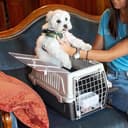 Ferplast Transportín Gato, Transportín Perro Pequeño y Gatos hasta 5 Kg, Techo Abrible, con Cojín y Comedero, 32,5 x 48 x h 29 cm, Transportín Mascotas Rígido Atlas 10 Open - 4