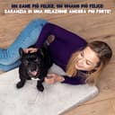 ZENAPOKI Cuccia per cani – XL letto ortopedico per cani, ottimo per le articolazioni, materasso in memory foam, cuscino per cani in gel che regola la temperatura - 5