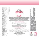 Evian Agua mineral natural 33CL VAP x 20 - 2