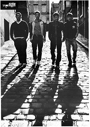 Arctic Monkeys: Shadows | Importación del Reino Unido, póster [59 x 84 cm]