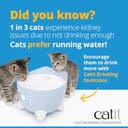 Catit PIXI Drinking Water Fountain for Cats, White, Automatic Pet Drinking Fountain with Triple Action Carbon Filter, Refill Level Window and LED Nightlight - 7