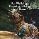 RUFFWEAR Arnés para Perro con asa, Flagline, Multiusos, Ligero, Ajustable, cómodo, para Caminar, 3 Puntos de fijación de Plomo, Correa Reforzada y Anillo en V de Metal Fuerte - 3