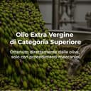 Olio extravergine d'oliva pugliese 100% italiano 5 litri Scarpello - 3