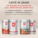 illy, Caffè in Grani da Macinare INTENSO, 100% Arabica con Note di Cacao e Frutta Secca, Retrogusto Pieno e Corposo, 1 Barattolo da 250g - 3