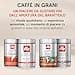 illy, Caffè in Grani Arabica Selection Brasile Cerrado Mineiro, 100% Arabica con Note di Caramello e Frutta Secca, Gusto Intenso, 1 Barattolo da 250g - 3