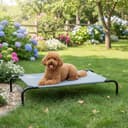 Amazon Basics Kühlendes erhöhtes Hund Haustierbett, M, Grau, L 110 x B 65 x H 19 cm - 7