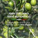 Olio extravergine d'oliva pugliese 100% italiano 5 litri Scarpello - 2