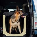 Fudajo Faltbare Transportbox für Hunde, Katzen XL (82x56x58cm), robust, leicht, sicher, Hundebox mit Tragegriff und Decke, Beige - 2