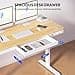 FLEXISPOT Q3 Standing Desk, Home Office Electric Height Adjustable Sit-Stand Desk with Drawer & Fast USB Chargers (Maple, 140 x 70 cm) - 6