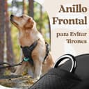 rabbitgoo Arnes Perro Grande con 3 Hebillas, Liberacion del Cuello, Arnes Perro Ajustable con Asa y Clip Frontal, Arnés Antitirones para Perros Reflectante para Adiestramiento Correr, Negro, XL - 6