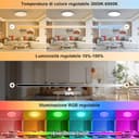 Rawhui 24W Plafoniera LED Soffitto Dimmerabile,2400LM Lampada Led Soffitto con Telecomando & APP,RGB,3000K-6500K,Alexa/Google Assistant/Smart Life,Per Soggiorno Camerette letto - 3