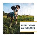 RUFFWEAR Hi & Light Y-Shaped Dog Harness, Extra Large, Lightweight & Padded, No Pull, Quick Release, 2 Lead Attachments, L/XL, Basalt Grey - 9