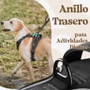 rabbitgoo Arnes Perro Grande con 3 Hebillas, Liberacion del Cuello, Arnes Perro Ajustable con Asa y Clip Frontal, Arnés Antitirones para Perros Reflectante para Adiestramiento Correr, Negro, XL - 7