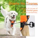 rabbitgoo Arnes Antitirones Perro Ajustable con Lineas Reflectantes Arnés Coche Perro Coche Adiesreamiento Arnes Perro Chaleco Transpirable con Asa Seguridad Grande Naranja - 5