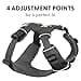 Ruffwear All-Day Dog Front Range Harness, Grey (Twilight Grey), XXS - 6