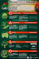 Arroz Gallo Arborio, 500 g - 2