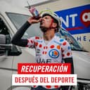 Enervit Magic Cherry, Suplemento con Extracto de Cereza, Antioxidante, Para la Recuperación Muscular y Esfuerzos Intensos, 300mg de Polifenoles, 50mg de Antocianinas, Sin Azúcar, Vegano, 10 Sobres - 5