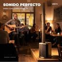 Vonyx VX822 – Pack de 2 Altavoces Columna Activos 1800W con woofer 12" Bluetooth 5.0 DSP emparejamiento estéreo entradas Micro USB XLR RCA diseño portátil Eventos DJ PA Streaming - 4