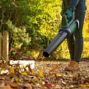 Bosch Home and Garden - Soffiatore per foglie senza fili AdvancedLeafBlower 36V-750 (1 batteria da 2,0 Ah, Sistema a 36 volt, per pulire foglie difficili e aree grandi, Peso leggero: 6 libbre, in - 7