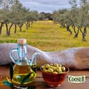 COOSUR - Aceite de Oliva Virgen Extra 5 Litros, Ideal para Cocinar o en Crudo, Aceite Oliva Virgen Extra Cooperativa - Garrafa PET 5 Litros - 6